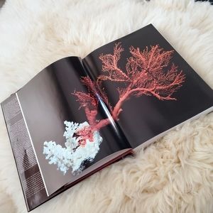 HC book Treasures of the Smithsonian